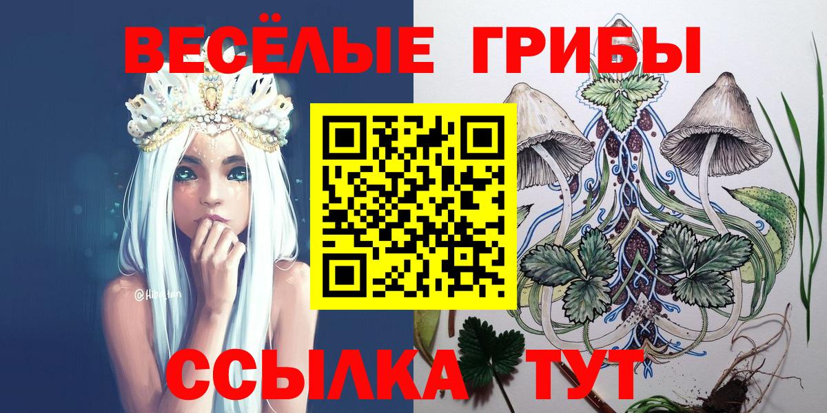 Галлюциногенные грибы Psilocybine cubensis Иваново