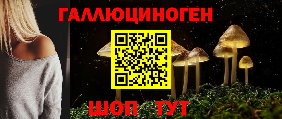 Псилоцибиновые грибы Magic Shrooms  Вход с VPN  Иваново  Галлюциногенные грибы Psilocybine cubensis 